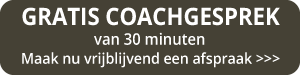 coachgesprek-grijs-1