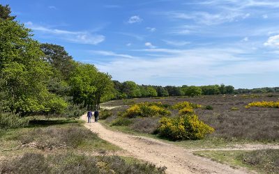 Executive wandelcoaching in het Gooi: heisessie met jezelf