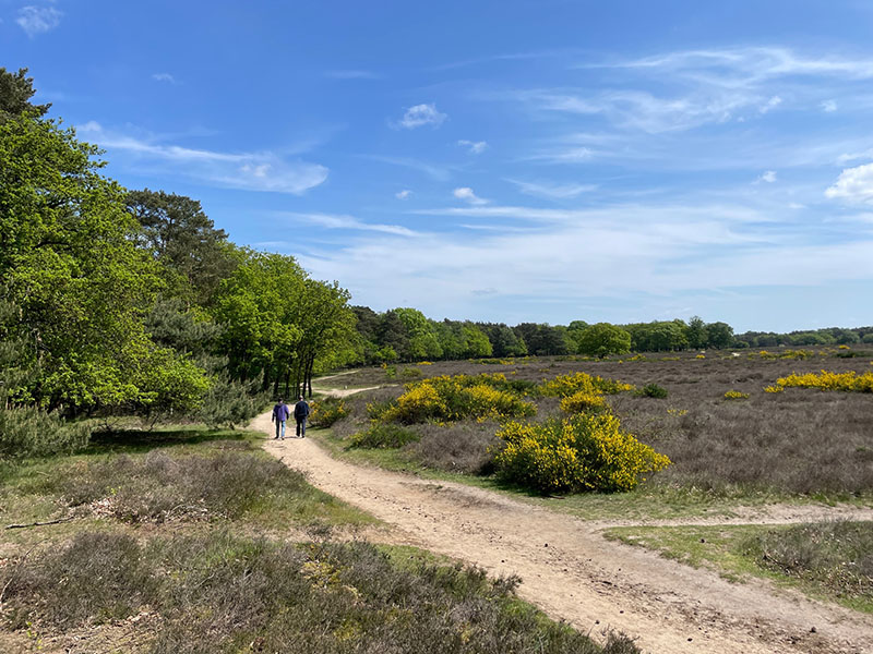 Executive wandelcoaching in het Gooi: heisessie met jezelf