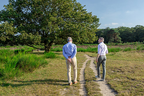 Wandelcoaching voor executives:  fris sparren buiten